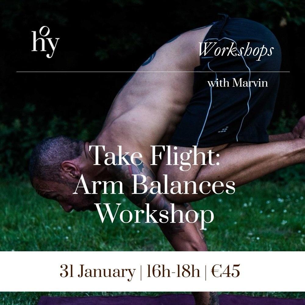 Take Flight: Arm Balances